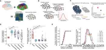 The hidden community architecture of human brain networks | Scientific Reports - Nature.com