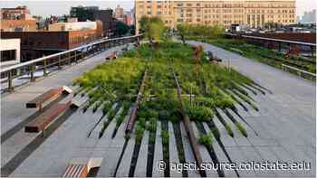 Landscape Architecture Days to feature professional lecture series in hybrid format - College of Agricultural Sciences