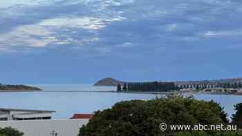 'Nowhere to go': Elderly renters pushed out amid housing crisis