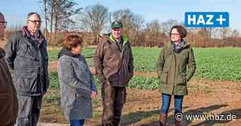 Hemmingen: Wildgänse fressen Felder der Landwirte leer - HAZ