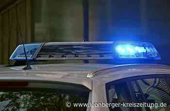 Polizeibericht aus Hemmingen - Unbekannter beleidigt drei Frauen - Leonberger Kreiszeitung