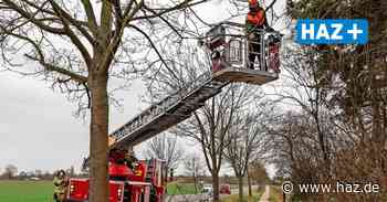 Sturm in Hemmingen: Das waren die Einsätze von Feuerwehr und Polizei - HAZ