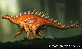 New type of stegosaur with spear-like bones is dug up in China