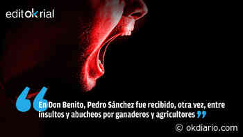 Otro baño de realidad a Pedro Sánchez - Okdiario