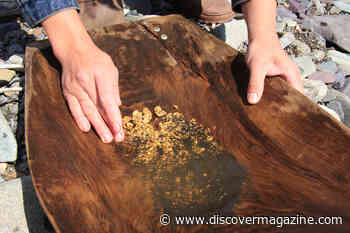 The People Still Searching For Gold In California’s Hills