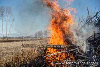 If you see smoke in Squamish, this might be it. - Squamish Chief