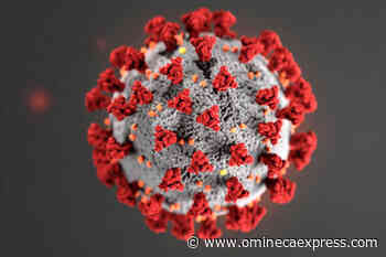 BC records 391 new COVID infections, ICU admissions increase by six – Vanderhoof Omineca Express - Omineca Express