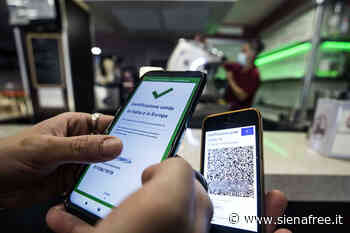 Confcommercio Siena: ''Superare le restrizioni per spingere la ripresa. Green pass non più necessario'' - SienaFree.it