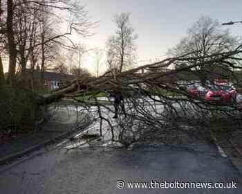 Live updates as Storm Eunice batter Bolton - The Bolton News