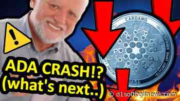 The cruel end of Cardano’s success is here! ADA Will Solana drop the expected 50%? SOL Polkadot par... - D1SoftballNews.com