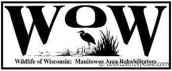 Wildlife Rescue, Transport Volunteers Needed - Door County Pulse