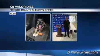 Local police agencies mourn retired K9