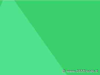 Make Next in Florence, uno sportello virtuale per chi vuole trasformare un'idea in un'impresa - 055firenze