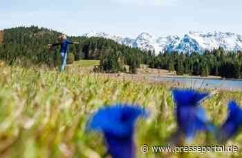 Tag des Energiesparens: Infopaket zum Thema "Internet und Klimaschutz" - Presseportal.de