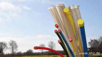 Schnelles Internet: Auch die Telekom mischt im Ellerhooper Breitbandausbau mit | shz.de - shz.de