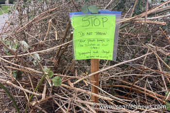 Neighbour steamed at dog excrement left to hang in Oak Bay - Saanich News