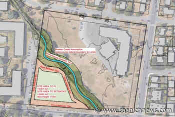 Greater Victoria School District defers land sale discussion two weeks - Saanich News