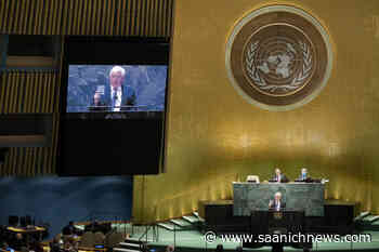 Canadian ambassador says no-fly zone needs Russian buy-in - Saanich News