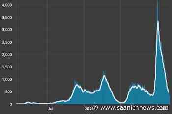 BC hospitals start rebooking surgeries delayed by COVID-19 – Saanich News - Saanich News