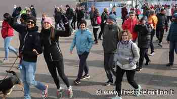 Formula 1, altri due giorni di test dopo il Gp - il Resto del Carlino