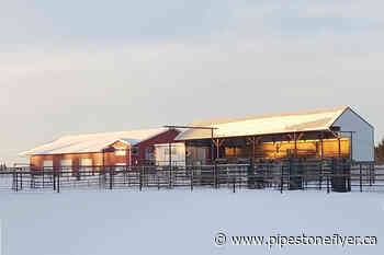 Local food, local farmers: Saluting Wetaskiwin agriculture - Pipestone Flyer