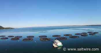 Nova Scotia board approves boundary change for Cooke's Digby salmon farm - Saltwire