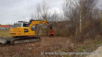 Senden: Anwohner wollen Hecken-Rodung für Hallenneubau in Senden stoppen | Illertisser Zeitung - Augsburger Allgemeine