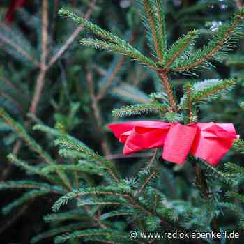 Lokalnachrichten SENDEN: Keine Weihnachtsbaum-Sammelaktionen - Radio Kiepenkerl