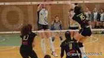 School Volley "Riaprite il palasport di San Marco" - LA NAZIONE