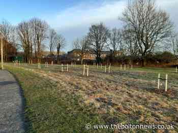 New orchard in Blackrod planted as part of neighbourhood plan