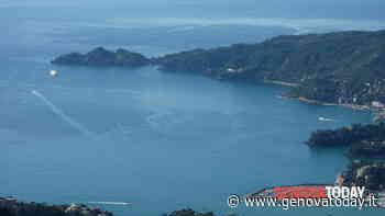 Parco nazionale di Portofino, l'Ispra boccia i confini proposti dalla Regione - GenovaToday