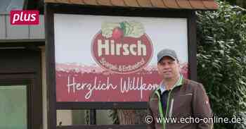 Trebur: Raus aus den Federn oder die Ernte ist hin - Echo Online