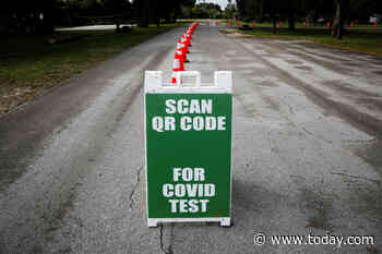 COVID cases, deaths continue to fall globally, WHO reports