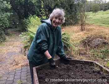 Rotary Club cleans the park - Rosebank Killarney Gazette