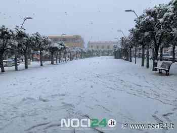 Noci imbiancata - NOCI24.it