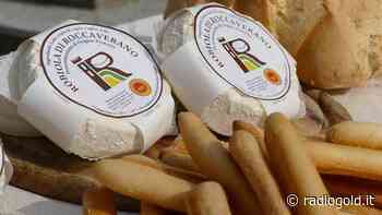 Il 29 novembre ad Acqui un seminario sulla Robiola di Roccaverano Dop - Radio Gold