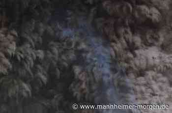 Giulia Dall'Olio im Studio der Kunsthalle Mannheim - Kultur - Mannheimer Morgen