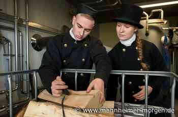 Handwerkskammer Mannheim setzt bei Ausbildung auf TikTok - Wirtschaft - Mannheimer Morgen