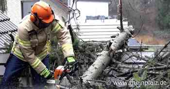 Sturm: Umgestürzte Bäume, überflutete Straßen, Stromausfall - Rheinpfalz.de