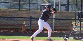 Yanks prospect Wells building off '21 success at minicamp - MLB.com