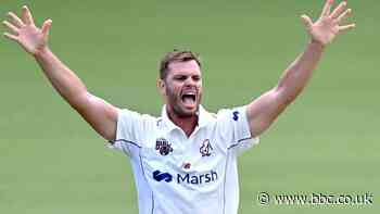 Mark Steketee: Essex sign Australian pace bowler