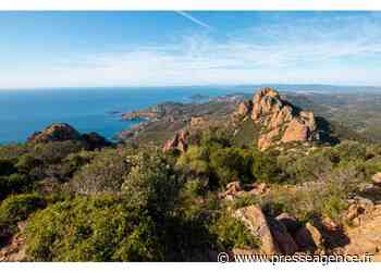 FREJUS : Le Roc d'Azur à la découverte du Massif de l'Estérel et du… trail ! - La lettre économique et politique de PACA - Presse Agence