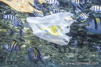 175 countries agree to first-of-its-kind plastic waste treaty