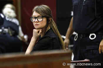 Anna Sorokin sues ICE, claims she got Covid after jailers refused to give her a booster shot
