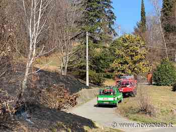 Piatto: A fuoco prato a bordo strada. AIB e Vigili del Fuoco bonificano VIDEO - newsbiella.it