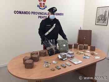 In casa nasconde 14 kg di stupefacenti, arrestato a Prato - Agenzia ANSA