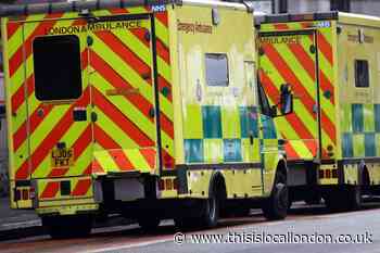 Man injured after falling from ladder while working in Greenwich