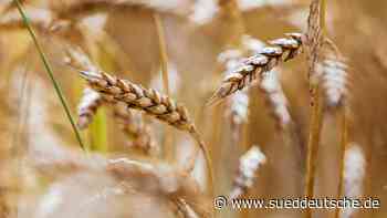 Wie Russland die Ukraine wirtschaftlich an den Abgrund treibt - Süddeutsche Zeitung - SZ.de