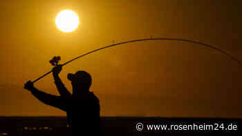 In Schonzeit nach Raubfischen geangelt: Aufseher und Polizei stoppen Lkw-Fahrer