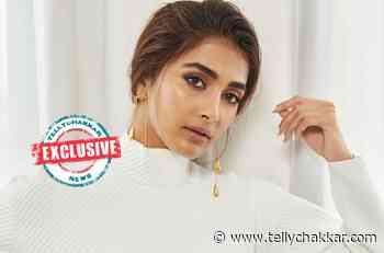 Exclusive! I do believe in astrology and Indian sciences: Pooja Hegde on her belief about astrology - Tellychakkar